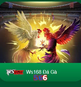 566